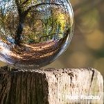 Medidas para la protección de la salud frente al cambio climático