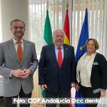 Reunión del COP Andalucía Occidental con el Consejero de Salud y Familias del gobierno autonómico