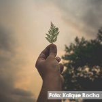 La ONU realiza un llamamiento para garantizar los derechos humanos durante la pandemia