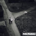 Recomendaciones para la atención a personas cuidadoras, guía del NICE