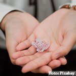 Los datos del INE evidencian la escasez de psicólogos clínicos en España-Estadística de profesionales sanitarios colegiados 2019