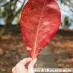 La OCDE advierte de la irrazonable e insostenible carga de trabajo de la Atención Primaria en España