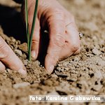 Se aprueba el nuevo Plan Nacional de Adaptación al Cambio Climático 2021-2030