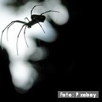 Otra forma de intervención en las fobias específicas: la exposición multimedia