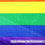 Cantabria prohíbe las terapias de conversión sexual tras la aprobación de la Ley de derechos de personas LGTBI