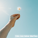 La pandemia dejará graves consecuencias en la salud mental de la población española, según un informe del CERMI