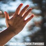 Únete a la Campaña «Fin a la Discriminación COVID-19» de la Alianza Internacional de Discapacidad y del IDDC