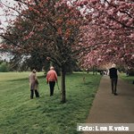 La ONU declara la década del envejecimiento saludable 2020-2030