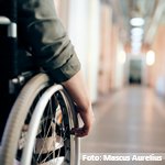 Opinión del Comité sobre los Derechos de las Personas con Discapacidad sobre el proyecto de ley de Eutanasia