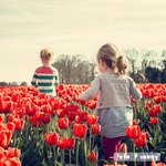 Se prohíbe el uso del Síndrome de Alienación Parental en la nueva Ley de protección a la Infancia