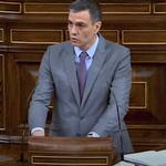 Pedro Sánchez agradece a los psicólogos y las psicólogas su labor durante la pandemia