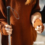 Se aprueba la reforma del artículo 49 de la Constitución reconociendo los derechos y dignidad de las personas con discapacidad