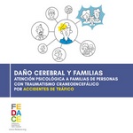 Guía de para la atención psicológica a familias de personas con traumatismo craneoencefálico