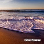 Volvemos en septiembre