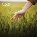 Guía breve de educación emocional para familiares y educadores