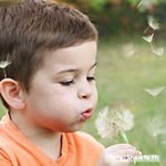 Nueva plataforma con recursos para niños en duelo por COVID-19