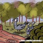 Cuento FAROS para explicar el cambio climático a los niños