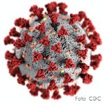 Página Web para combatir la desinformación en torno a la COVID, de la UNESCO