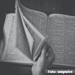 Propuesta de terminología y clasificación sobre discapacidades intelectuales y del desarrollo