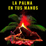 El COPCLM participa en la campaña solidaria «La Palma en tus manos»