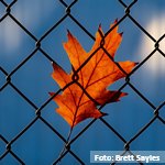 Herramientas para la reducción de conductas criminales