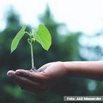 Nueva campaña #ClimateChangedMe para concienciar sobre la crisis climática