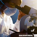 Se crea el Centro de Inteligencia para Pandemias y Epidemias de la OMS