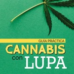 ¿Cuáles son los riesgos del consumo de cannabis y cómo manejar este tema en la familia?, guía práctica