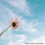 La conducta suicida: un problema de salud pública urgente