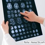 Los avances en Neurociencia y Psicobiología sobre estrés han sido muy notables en las últimas décadas Entrevista a Carmen Sandi, IV Congreso Internacional de Psicobiología