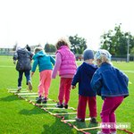 El trauma en la infancia y su efecto en los centros educativos, guía