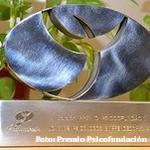 XII Edición Premio Psicofundación Jóvenes Iniciativas de Emprendimiento en Psicología 2022