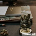 Los hipnosedantes se mantienen como la tercera sustancia más consumida en España-nuevo Informe sobre Alcohol, tabaco y drogas ilegales