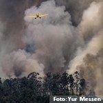 Pautas psicológicas frente a los incendios en España