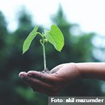 Organizaciones europeas instan a emprender acciones para prevenir el impacto del cambio climático sobre la salud