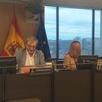 El COP reclama más inversión para la prevención y atención en salud mental