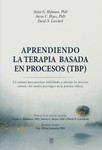 Aprendiendo la terapia basada en procesos
