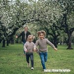 Propuestas para promover la actividad física en menores de 3 a 6 años dirigidas a familias