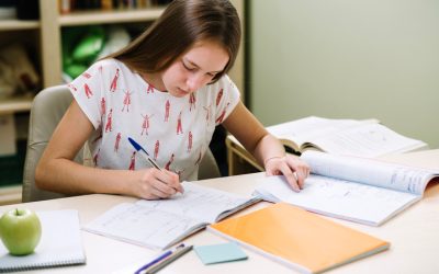 ¿Qué motiva a los/as estudiantes a hacer los deberes escolares?