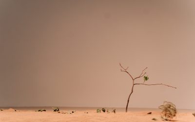Consecuencias del cambio climático en la salud mental