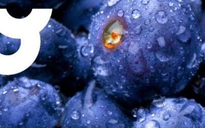 Adicciones tecnológicas y el ejercicio de la prostitución en la X Jornada de Excelencia e Innovación