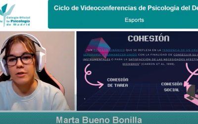 Nueva videoconferencia organizada por la Sección de Psicología de la Actividad Física y del Deporte: “Cohesión en los Deportes electrónicos”
