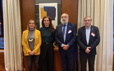 El COP se reúne con la ministra de Sanidad y le traslada sus propuestas para atender la salud mental