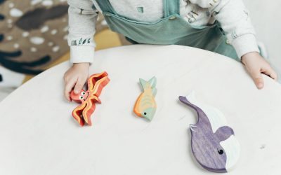 El diagnóstico del trastorno del espectro autista a lo largo de infancia