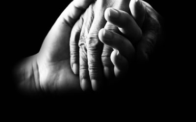 Disponible la primera edición de la revista Profesiones del 2024