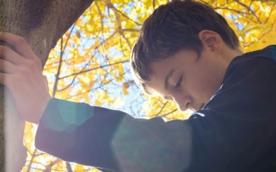 Experiencias adversas en la infancia y riesgo de obesidad