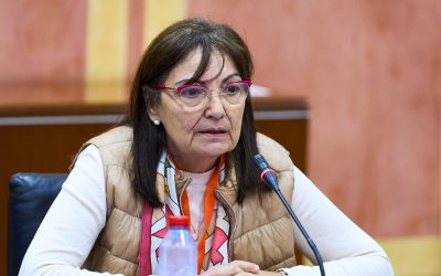 El COP Andalucía Occidental comparece en el parlamento sobre la protección de menores ante el acceso a la pornografía en Internet