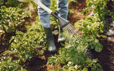 La UE aborda los problemas de salud mental en agricultores