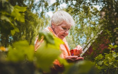 La vulnerabilidad social aumenta la mortalidad en mayores