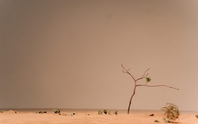 Efectos en la salud mental del cambio climático crónico